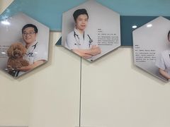 -睿金宠物医院·CT·肿瘤·骨外科