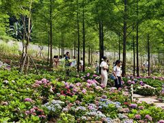 -忠山公园
