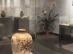 -荆州博物馆