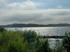 -上海市保健医疗中心