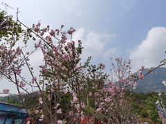 -牛鱼嘴原始生态风景区