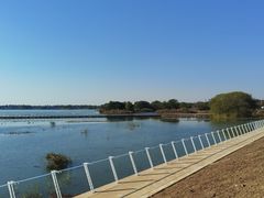 -贡湖湾湿地公园
