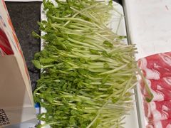 -蒙都43°9羊火锅(平庄店)