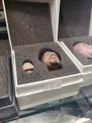 -新时模型(新街口店)