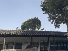 -常熟方塔园