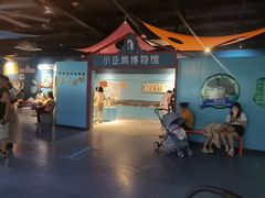 -海合安武汉极地海洋公园