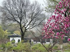 -红梅公园