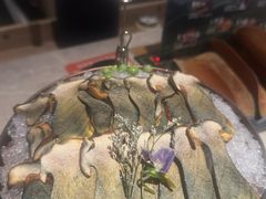 -芸山季·云南山珍菌火锅(宝能环球汇店)