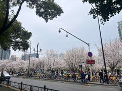 -西北湖绿化广场