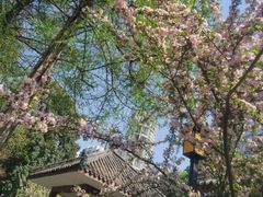 -温江公园