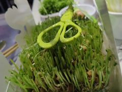 -海底捞火锅(吾悦国际广场店)