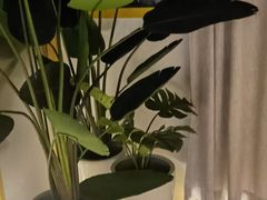 -谷悦SPA(王府井店)