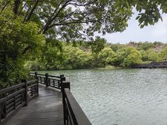 -白马涧龙池景区