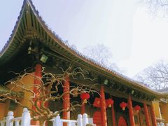 -灵谷景区