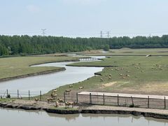 -溱湖国家湿地公园