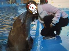-石林冰雪海洋世界