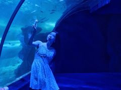 -左海海底世界