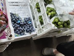 -马陆小张葡萄园农家乐