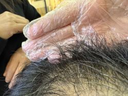 -诗碧曼养发
