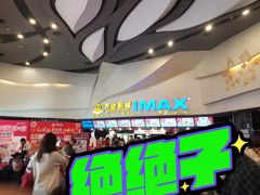 -万达影城(潍坊万达广场IMAX店)