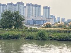 -澹台湖公园