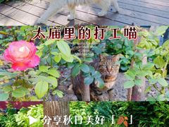 -北京市劳动人民文化宫(太庙)