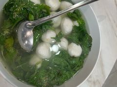 -丁老爷子苏香圆