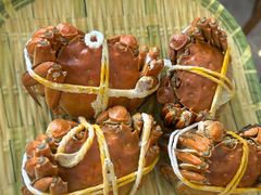 -蟹天蟹地农家菜·阳澄湖大闸蟹(浅水湾店)