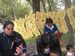 -赭山公园