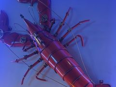 -红盔侠小龙虾(海宁银泰店)