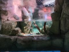 -沈阳海洋探索中心