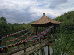 -千岛湖龙川湾