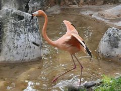 -昆明动物园