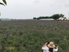 -九宫山风景区