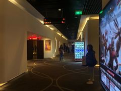 -嘉华国际影城(学清路店)