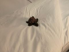 -上海外滩悦榕庄酒店