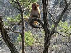 -庐山风景区花径公园