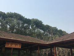 -洪湖悦兮半岛国际温泉度假村