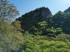 -大岭沟猕猴桃谷风景区