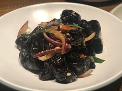 老醋木耳-必点海鲜·鲅鱼水饺(鞍山西道店)