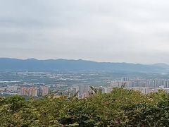 -风云岭森林公园
