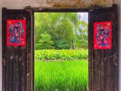 -溱湖国家湿地公园