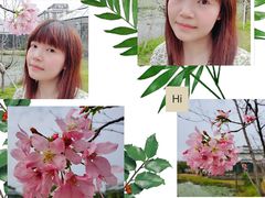 -华南国家植物园-售票处