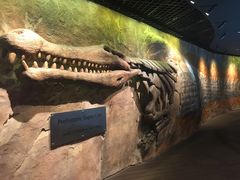 -迪拜水族馆及水下动物园