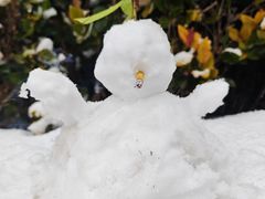 -牛一嘴·兰州牛肉面·大盘鸡(财富中心店)