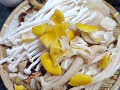 -菌极鲜野生菌火锅店(阳明祠店)