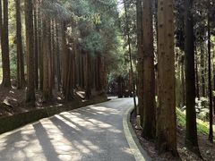 -武陵山森林公园