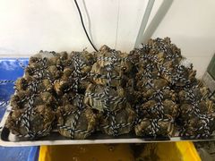 -宾湖农庄·农场特色(太湖龙之梦店)