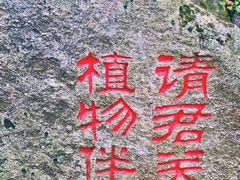-秦岭终南山世界地质公园翠华山景区