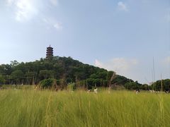 -红花山公园